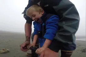父亲带着孩子们在海边挖海鲜，一边挖一边玩真的好开心图片