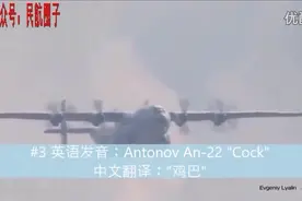 这些飞机的名字怎么那么污！图片