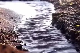 大自然在说话“我是水”，周迅粤语、国语版。图片