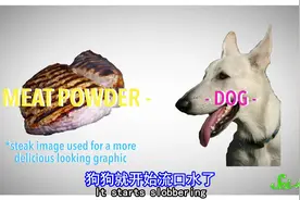 人们为什么一听到嘘嘘和流水声的声音就想尿尿?图片