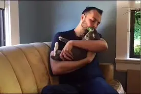 歪果仁新研发的一款舔猫刷，好魔性图片