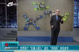 世界首个“机器人婴儿”诞生  “孕妈妈”来自金华视频封面