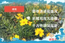 经典钢琴曲演绎《梁祝》浪漫入心图片