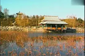 唢呐《百鸟朝凤》，这才是真正的名间音乐图片