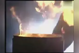 野狼王的士高——斗鸡图片