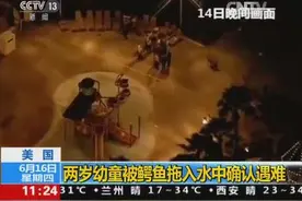 美国两岁幼童被鳄鱼拖入水中 确认遇难图片