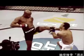 格斗界最强王者——席尔瓦，他就是为格斗而生的图片
