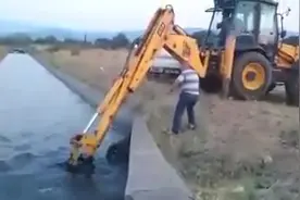 一头大野猪掉进了河里，没人敢靠近，挖掘机赶过来救援！图片
