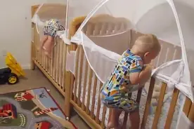 妈妈让双胞胎宝宝去睡觉，宝宝风一样的爬上婴儿车，太暖心！图片