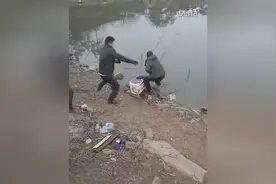 实拍大鱼拉人下河图片