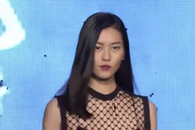 中国维密超模刘雯写真精选剪辑视频封面