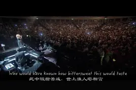 这首歌描述了很多人的生活。被翻译美哭了