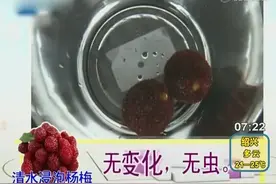 潮汕人最爱的杨梅浸泡盐水后出现小白虫，还能吃吗？视频封面