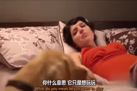 成精狗狗看女主人羞羞，没想到你是这种汪星人！