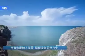 V观 | 赏青海湖醉人美景 探秘湟鱼前世今生图片