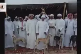 阿拉伯国家的富豪真会玩，这赛狗比赛可真疯狂图片