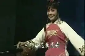 山西戏曲 蒲剧《藏窑》吉有芳主演图片