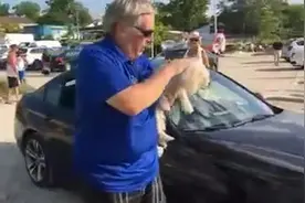 烈日下小狗锁车內！大叔猛砸BMW车窗救出小狗，众人齐鼓掌图片