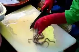 实拍韩国街边活做章鱼全过程！满满一盘切成段还在蠕动的触角图片