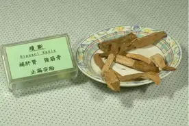 骨伤“神药”——续断图片
