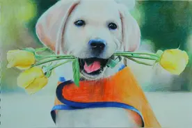 汪星人也爱美，你造吗？图片