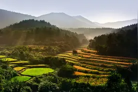 陌小蘑创业记（一）图片