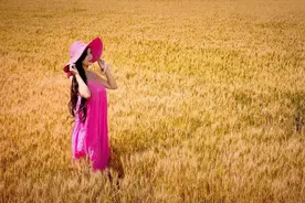 摄影师洪峰镜头下的《麦子熟了》图片