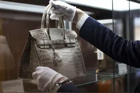 世界最贵皮包卖出200万，白鳄鱼皮加钻石，杀害养殖鳄鱼惹争议图片