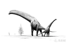 恐龙Dinosaur概述三图片