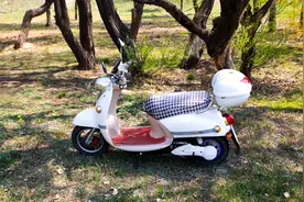 有动力·立马行——记录我的第一台电动车图片