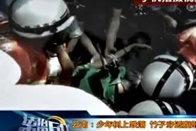 少年树上跌落 竹子穿透腹部图片