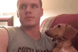 你家的狗狗会上电动车吗?图片