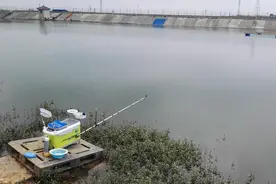 耐得住寂寞忍得了烈日最终擒大青图片