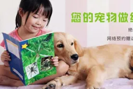 永恒的话题!宠物绝育到底做还是不做!图片