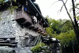 “民族之花”盛开在“川西走廊”图片