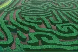 惊悚漫画--恐怖迷宫图片