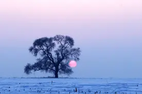 “色即是空，空即是色”蕴含了怎样的哲理？图片