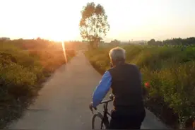 《夏夜的山村》图片