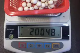 注意！旅客携带象牙出境，被海关查获！图片