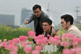 郁金香种球只能向荷兰购买？浙大三个小伙要干件大事图片