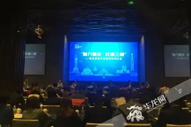 台湾基层代表争相报名来渝参观交流 惊叹重庆的快速发展图片
