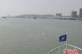 水质改善 晋江围头湾现8只白海豚图片