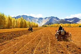 国办发文规范补充耕地和建设用地指标调剂：占用耕地基准价每亩10万 水田翻番图片