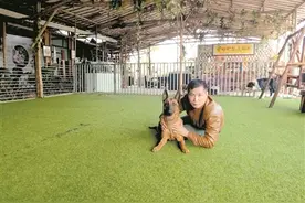 传奇“石湾大宝” 神技“后继有犬”？图片