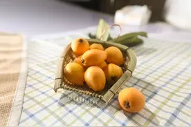 3月30日 攀枝花将在成都开启一场甜蜜枇杷盛宴图片