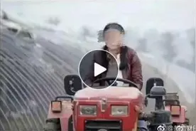 鼓吹“女博士开拖拉机种田致富”，是反智主义新“套路”图片