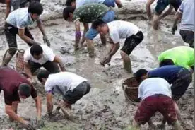 宁乡人还在吃泥鳅吗？赶紧看，现在还来得及……图片
