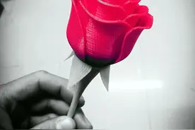 在校学生当起老板 众筹做3D打印生意图片