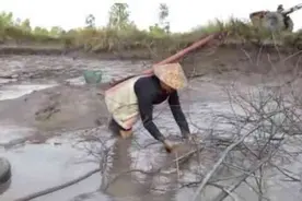 农民把鱼塘水抽干后，不料却抓上来这东西，你认识吗？图片