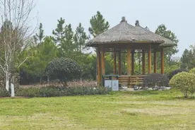 义乌：商城三月花如锦 乌伤五载城似林图片